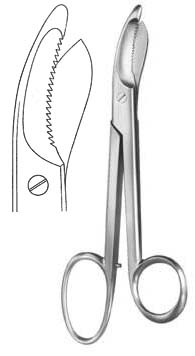 Plaster Shears