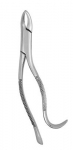 Extracting Forceps #103